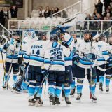 Solway Sharks Fixtures